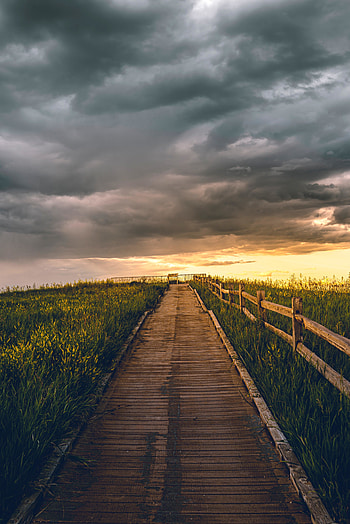 Wooden bridge, fence, landscape, pathway HD phone wallpaper