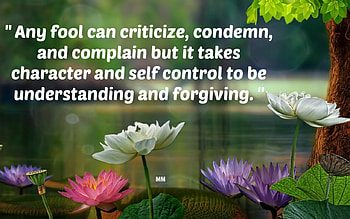 Character, Lotus, Water lily, Flowers, Nature, Quotes, Thoughts, Words HD wallpaper
