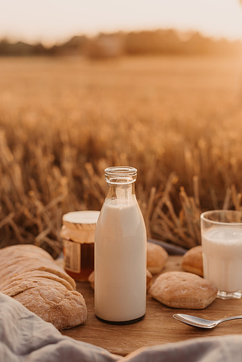 Food, Field, Bottle, Picnic, Milk HD phone wallpaper