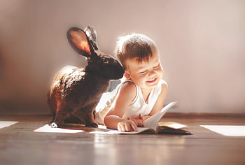Rabbit And Children Cute, child, cute, rabbit HD wallpaper