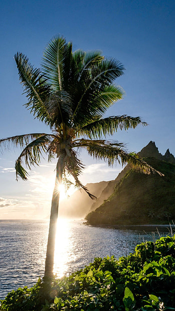 Samoan landscapes, Nature's wonders, Beachside serenity, Vibrant culture HD phone wallpaper