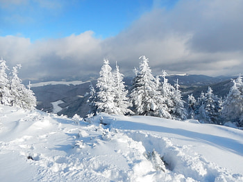 Landscape, Winter, Nature, Snow HD wallpaper