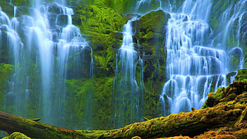 Proxy Falls, Oregon, blue, trunk, moss, National Forest, waterfalls, beautiful, Three Sisters Wilderness, liquens, green HD wallpaper