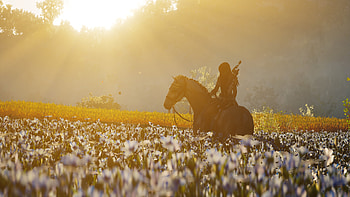 Assassins Creed Odyssey Fields , assassins-creed-odyssey, assassins-creed, 2018-games, games, horse HD wallpaper