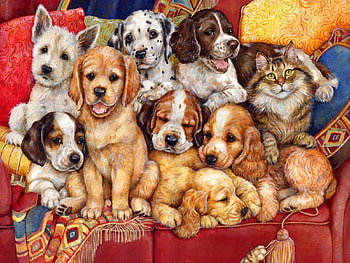 Funny group of friends, sofa, fun, dogs, puppies, beautiful, nice, team, group, funny, , joy, lovely, friends HD wallpaper