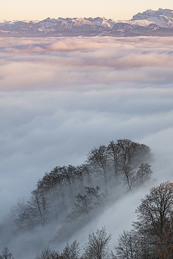 Landscape, Nature, Trees, Mountains, Clouds HD phone wallpaper