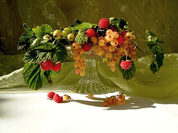 STILL LIFE, tray, leaves, grapes, glass, fruit HD wallpaper