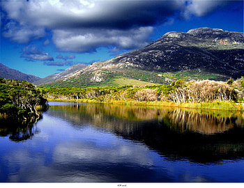 Peace and Solitude, blue, trees, sky, calm, forest, lake, mountain HD wallpaper
