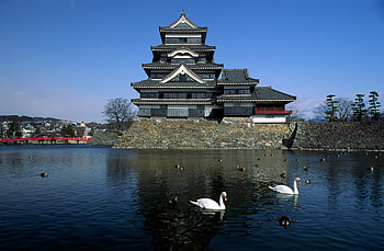Swans, Matsumoto Castle HD wallpaper