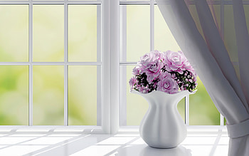 Roses, Flowers, Vase, Window HD wallpaper
