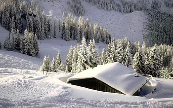 Winter view, winter, house, landscape, beautiful, mountain, cabin, snow, valley, hut, trees, view, cottage, forest HD wallpaper