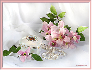 pink & white still life, art , still life, dose, white background, perle, pink flowers HD wallpaper