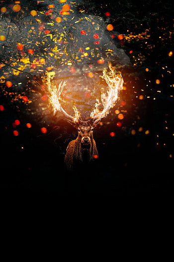 Deer, horns on fire, muzzle, art HD phone wallpaper