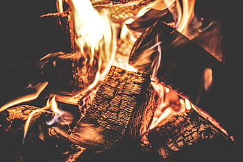 Vibrant campfire with burning wood and vivid flames, perfect for outdoor or cozy themes. HD wallpaper
