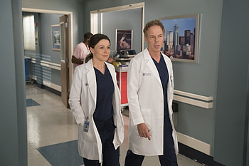 Grey's Anatomy Doctors, TV Show, Grey's Anatomy HD wallpaper