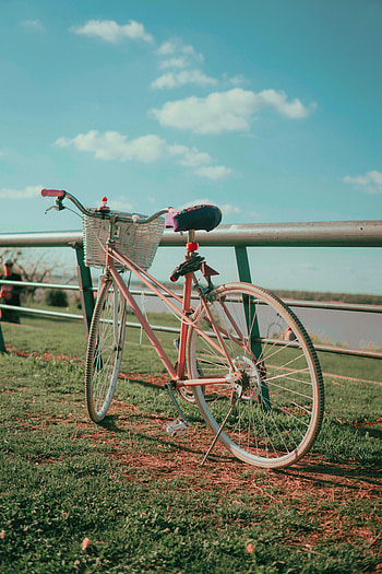 Nature, Pink, Miscellanea, Miscellaneous, Bike, Basket, Bicycle HD phone wallpaper