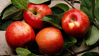 Apple , Crisp and refreshing, Hi-res , Satisfying snack HD wallpaper