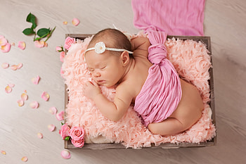 Sweet angel, pink, petals, baby, babies, angel, girl, infant HD wallpaper
