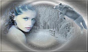 WINTER WOLF, winter, wolf, snow, female HD wallpaper