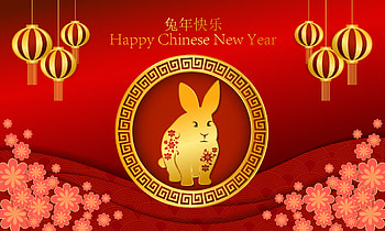 Year of the rabbit, holiday, Chinese New Year HD wallpaper