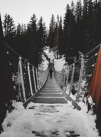 Winter, Trees, Snow, Silhouette, Miscellanea, Miscellaneous, Bridge HD phone wallpaper