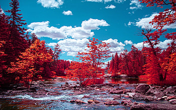Rushing River, Ontario, trees, clouds, sky, canada, stones HD wallpaper
