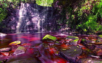 FOREST FALLS, river, waterfalls, nature, forest, rock HD wallpaper