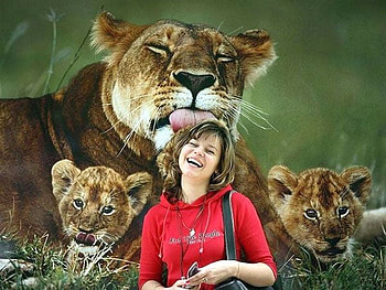 Funny Mixed , cool, funny, mixed HD wallpaper