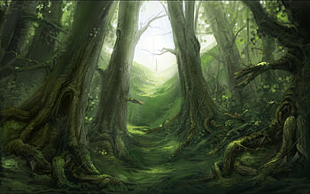 Artwork, Fangorn HD wallpaper