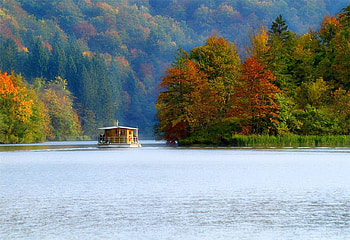 Trees in Lake, boat, , trees, beautiful, lake HD wallpaper