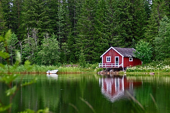 Little Red House on the Lake, house, nature, grass, forest, lake HD wallpaper