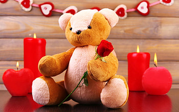 Teddy Bear with Love, beloved valentines, love four seasons, valentines, teddy bear, holiday, love, red, hearts, red rose, candles HD wallpaper