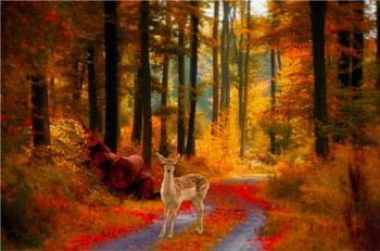 Fawn, trees, autumn, fantasy HD wallpaper