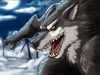 Animals, Wolfs HD wallpaper