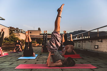 People practicing yoga on mats outdoors during sunset, focusing on wellness. HD wallpaper
