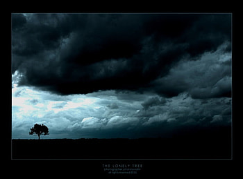 all alone!, cloudy, glury, lonely, dark, tree, mad, clouds, nature, sky HD wallpaper