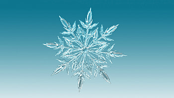 Snowflake, winter, blue, snowflakes, white HD wallpaper