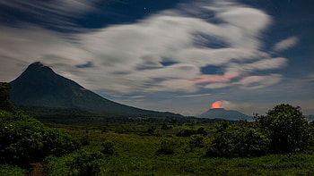 Gorilla safari in Virunga, Close encounters, Juvenile gorilla sighting, Immersive wildlife experience HD wallpaper