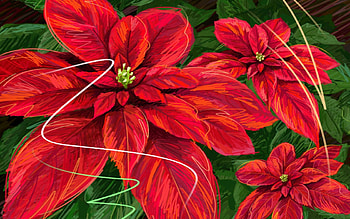 Flowers, art, petals, red, blooms HD wallpaper