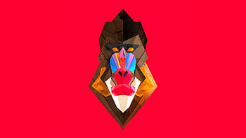 Mandrill, Facets HD wallpaper