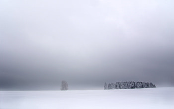 Calm winter, winter, calm HD wallpaper