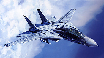 Aircraft F-14 Tomcat | | 341030 | UP HD wallpaper