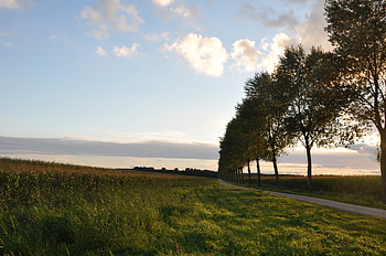 Nature, Trees, Sky, Road, Turn HD wallpaper