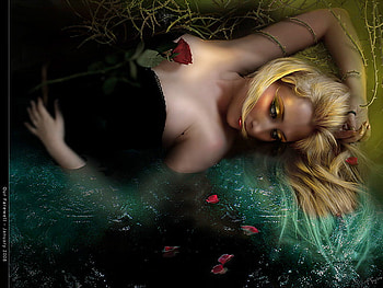 Our_Farewell, tranquility, rose, beautiful, woman serenity, dream, female HD wallpaper