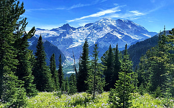 Incredible day at Mt. Rainier, washington, trees, clouds, landscape, sky, usa HD wallpaper