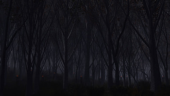 Preview forest, trees, background, dark HD wallpaper