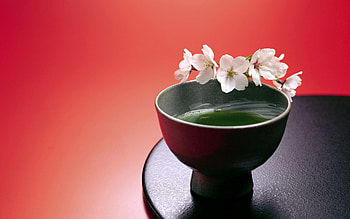 Food, Sakura, Cup, Tea HD wallpaper