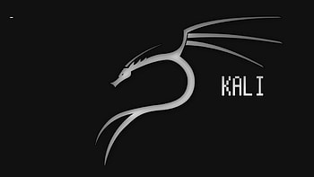 kali linux ... HD wallpaper