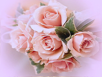 Roses for your kindness, pink, bouquet, green leaves, roses, pink background HD wallpaper