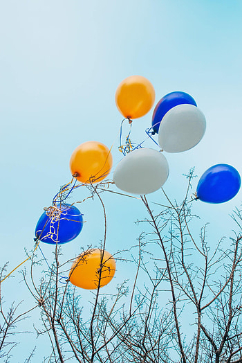 Sky, Balloons, Miscellanea, Miscellaneous, Wood, Multicolored, Motley, Tree, Branches HD phone wallpaper